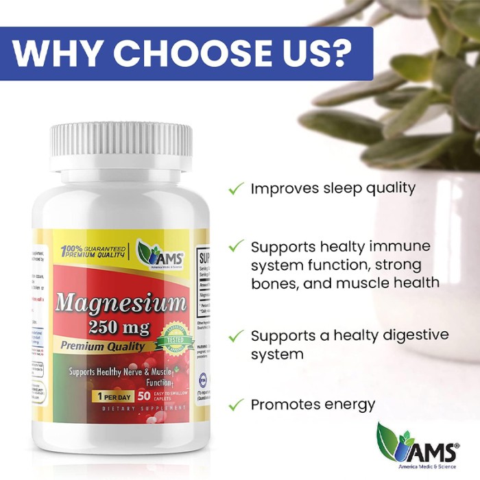 AMS Magnesium 250 mg  AMS-36578-0