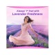 Always Skin Love Pads, Lavender Freshness, Thick & Large, 48 Count