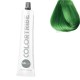 Bbcos Color Tribe Direct Color 100ml Green