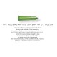 Bbcos Keratin Hair Color 100ml 5.1