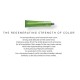 Bbcos Keratin Hair Color 100ml 5.3