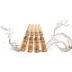 Casmara Lightening Flash Solution Ample 5 X 2.5ml