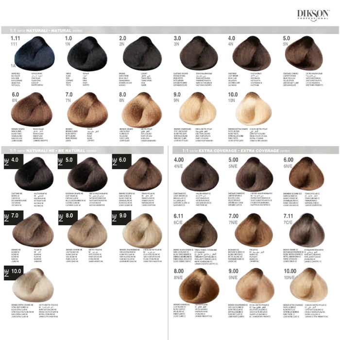 Dikson Color Chart Small