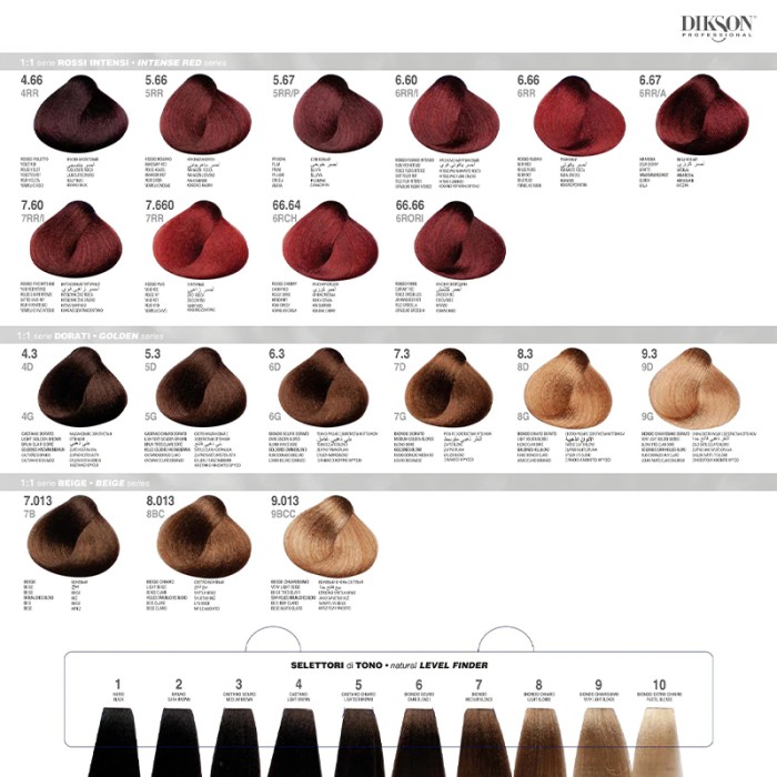 Dikson Color Chart Small