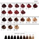 Dikson Color Chart Small