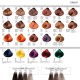 Dikson Color Chart Small