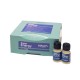 Dikson Prime Sculp Energy Super Energy 8x10ml