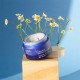 Dr Renaud Camomile Azulene Calming Rich Cream 50ml