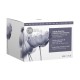 Dr Renaud Intensive Hydrating Youth Cream 50ml
