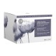Dr Renaud Intensive Perfect Youth Cream 50ml