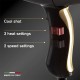 Elchim 3900 Healthy Ionic Black & Gold Hair Dryer