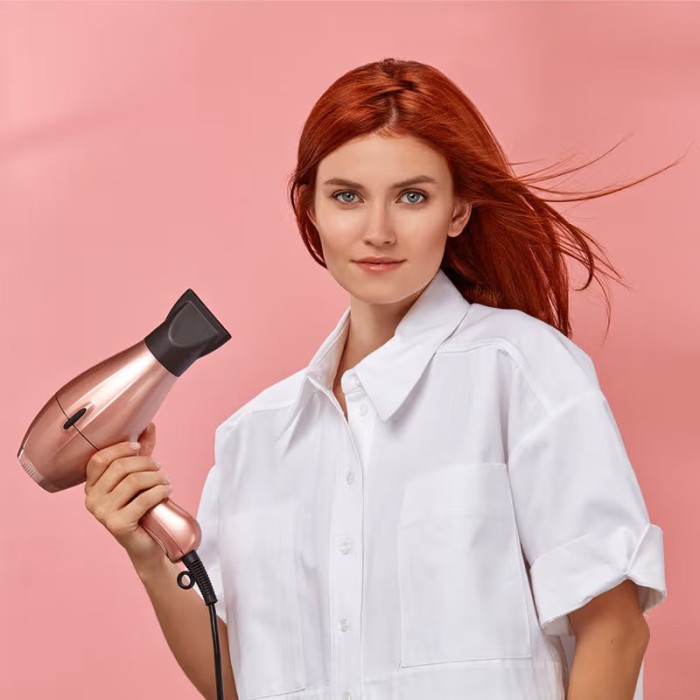 Elchim 3900 Healthy Ionic Rose Gold Hair Dryer