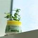 Fash Kool Aloe Vera Hair Cream 140ml