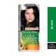 Garnier Color Naturals 1 Black