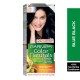 Garnier Color Naturals 2.1 Blue Black