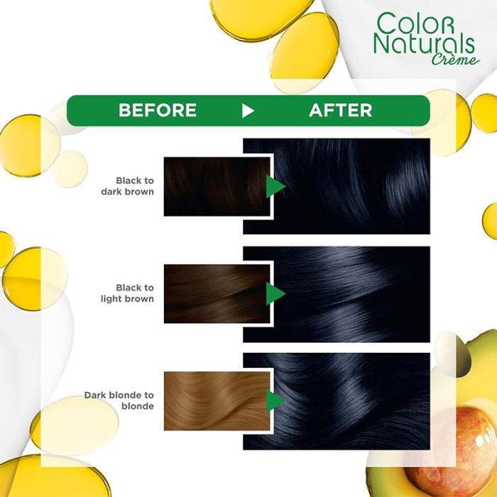 Garnier Color Naturals 2.1 Blue Black