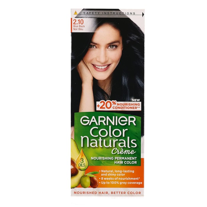 Garnier Color Naturals 2.1 Blue Black