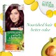 Garnier Color Naturals 3.6 Deep Red Brown