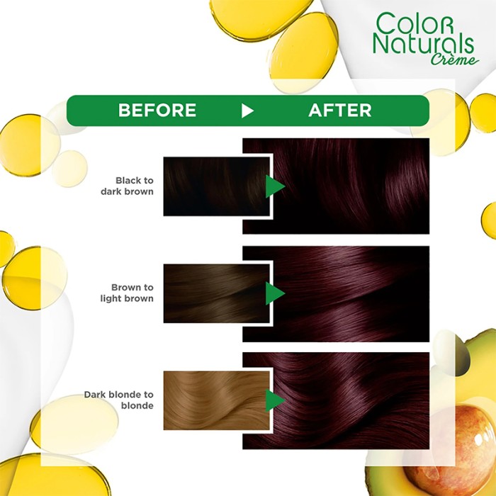 Garnier Color Naturals 3.6 Deep Red Brown