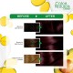 Garnier Color Naturals 3.6 Deep Red Brown
