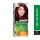 Garnier Color Naturals 3.6 Deep Red Brown
