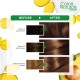 Garnier Color Naturals 5.3 Light Golden Brown