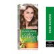 Garnier Color Naturals 6 Dark Blonde Haircolor 100g