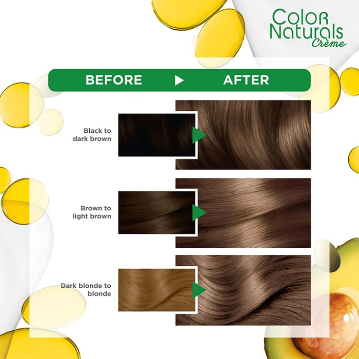 Garnier Color Naturals 6 Dark Blonde Haircolor 100g
