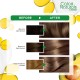 Garnier Color Naturals 6 Dark Blonde Haircolor 100g