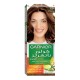 Garnier Color Naturals 6.34 Chocolate