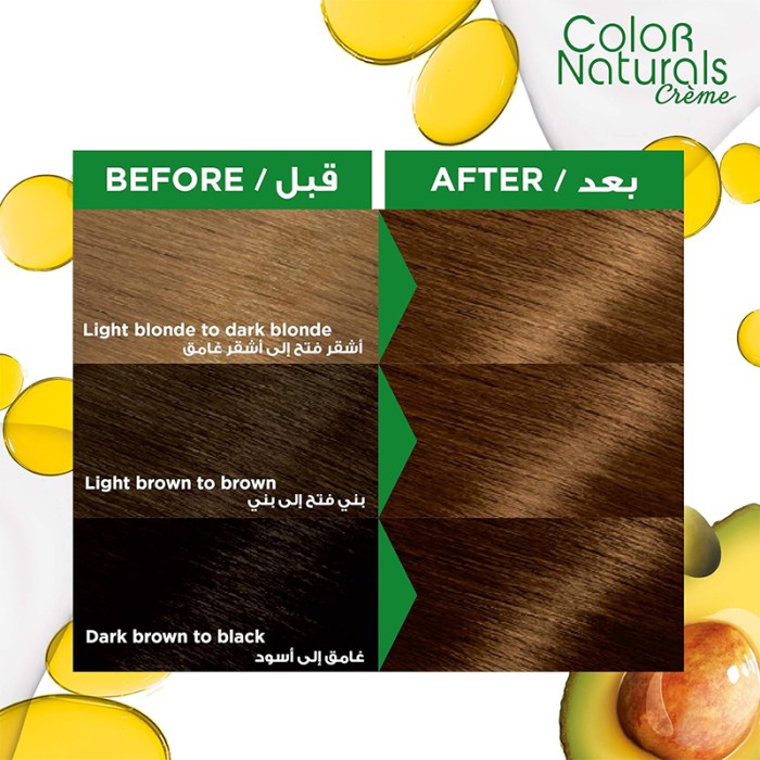 Garnier Color Naturals 6.34 Chocolate
