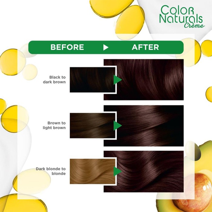 Garnier Color Naturals FR/GB/AR 4.15 Brownie Chocolate