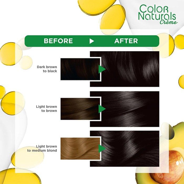 Garnier Color Naturals Hair Color Cream 2.0 Luminous Black