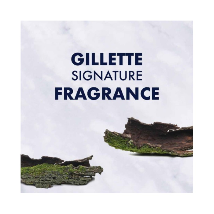 Gillette Regular Men's Shaving Foam 200ml