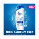 Head & Shoulders Anti Dandruff Shampoo 400ml + 200ml