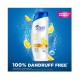 Head & Shoulders Citrus Fresh Anti - Dandruff Shampoo 400ml