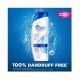 Head & Shoulders Classic Clean Anti - Dandruff Shampoo 600ml