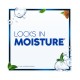Head & Shoulders Dry Scalp Care Anti - Dandruff Shampoo With Almond Oil 400ml