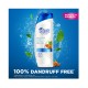 Head & Shoulders Dry Scalp Care Anti - Dandruff Shampoo with Almond Oil 600ml