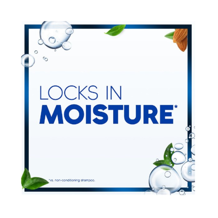 Head & Shoulders Dry Scalp Care Anti - Dandruff Shampoo with Almond Oil 600ml