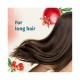 Herbal Essences Beautiful Ends Protection Shampoo w/ Juicy Pomegranate Essences 700 ml