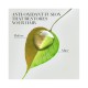 Herbal Essences Bio Renew Coconut Milk Leave - In Conditioner - 180 ml