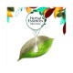 Herbal Essences Golden Moringa Oil Conditioner 400ml