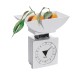 LAICA Mechanical Food Scale for Kitchen with 1 Bowl upto 1kg