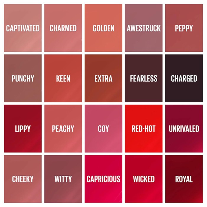 Maybelline Vinyl Ink Nudes Punchy