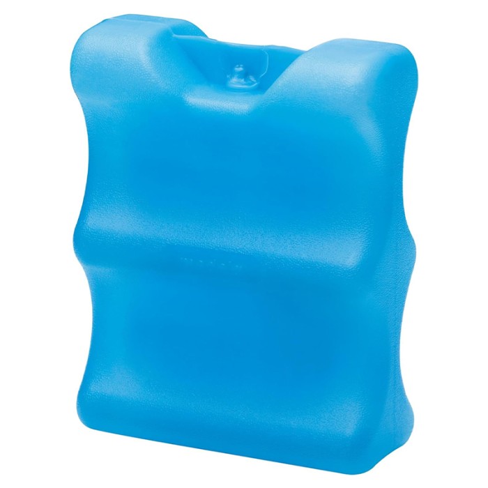 Medela Cooler Bag