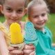 Melii Animal Ice Pops With Tray 6 Piece