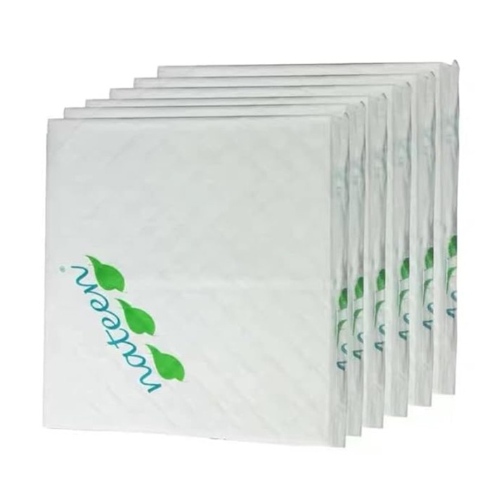 Nateen Disposable Incontinence Underpads,80 x 180 cm,10 Pcs