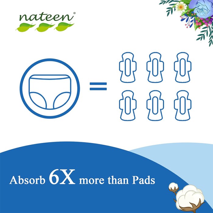 Nateen Disposable Sanitary Panty, 10 Pcs