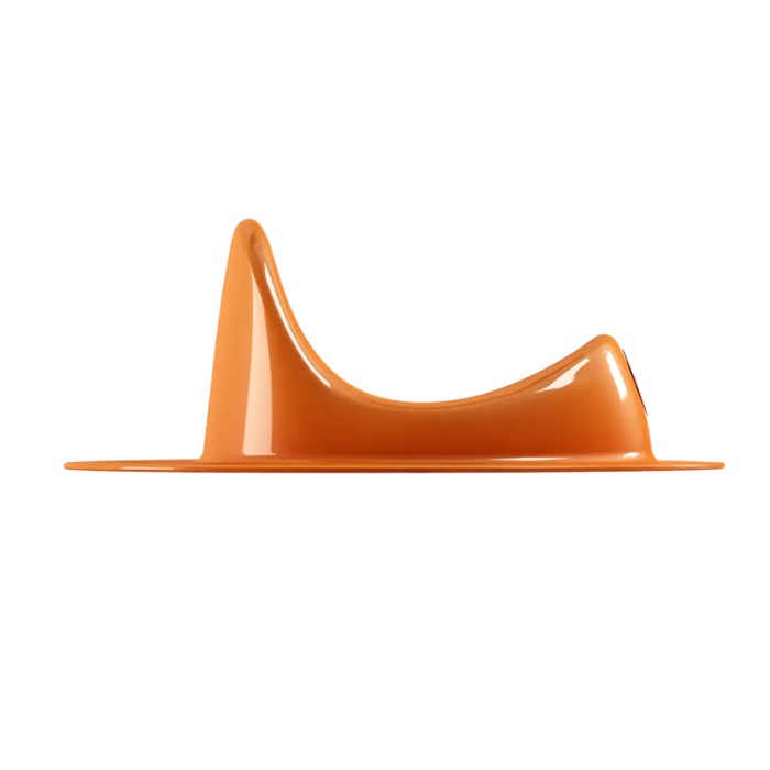 OKBaby Ergo Easy Toilet Training Orange